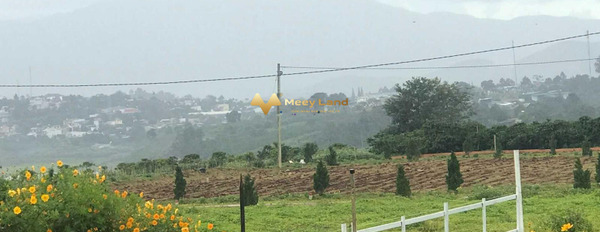 Bán mảnh đất 200m2 Di Linh, Lâm Đồng, giá 1,2 tỷ-03