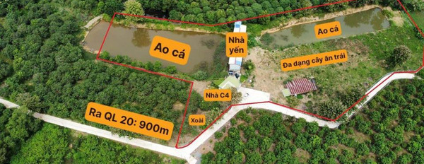 Cần bán đất Lâm Đồng, giá 5,59 tỷ-02