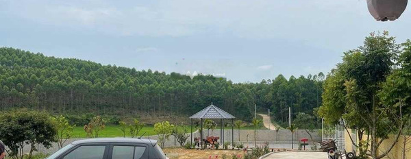 Bán Biệt thự nhà vườn nghỉ dưỡng siêu xinh tại Yên Thế Bắc Giang hỗ trợ mọi thủ tục miễn phí, giá mùa dịch.-03