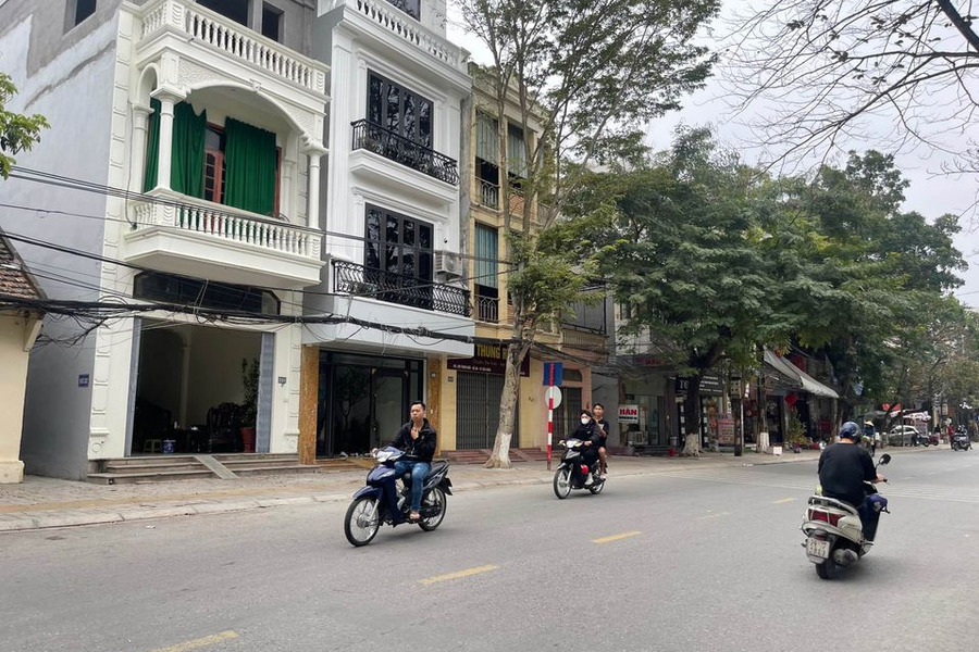 Cần bán đất thành phố Bắc Ninh, Bắc Ninh, giá 3 tỷ-01