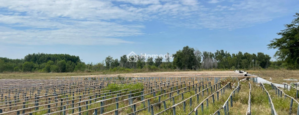 Giá đặc biệt 20 tỷ bán đất diện tích chung 16692m2 tọa lạc ngay tại Lê Văn Duyệt, La Gi-03