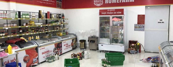 Cho thuê nhà, thuê ngay với giá đề xuất 20 triệu/tháng diện tích chính là 66m2 vị trí tốt ngay Nguyễn Sỹ Sách, Hồ Chí Minh-03