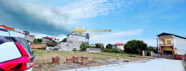 Tọa lạc ngay Nguyễn Văn Linh, Hưng Yên bán đất giá cực sốc chỉ 430 triệu có diện tích thực 70 m2-03