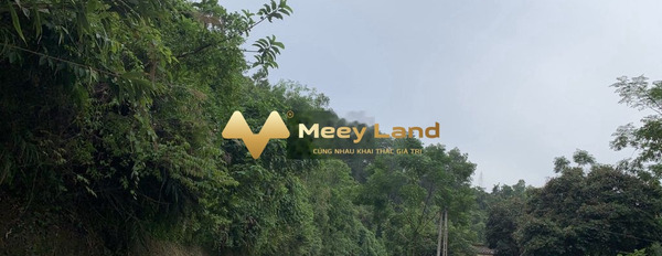 Bán đất 500 triệu Lê Anh Xuân, Lương Sơn có dt trung bình 247 m2-02