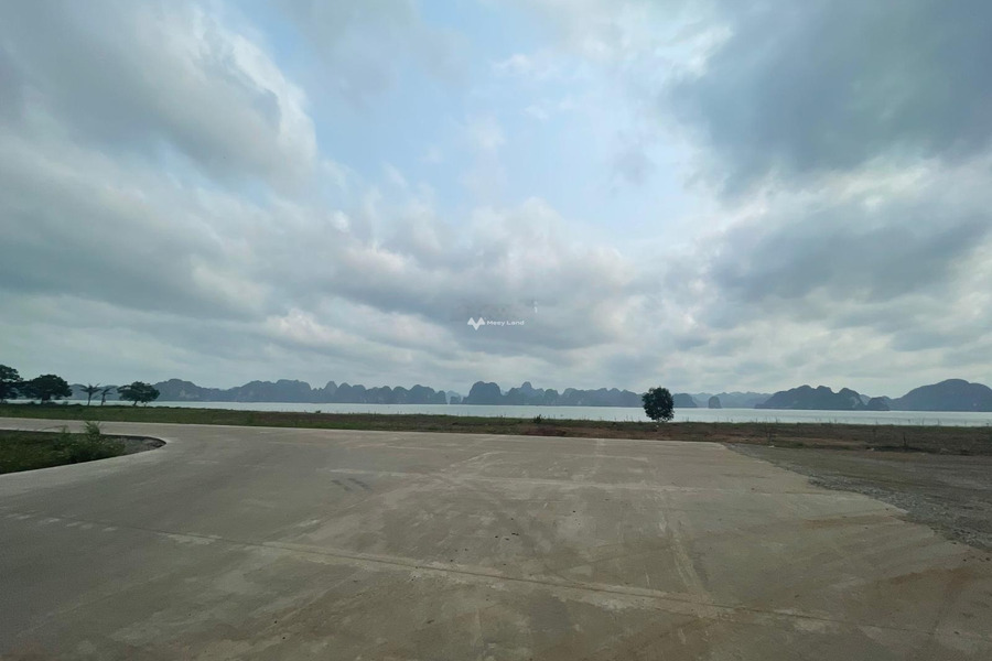 Cần bán đất vị trí thuận lợi ngay Hạ Long, Quảng Ninh. Diện tích 120m2-01