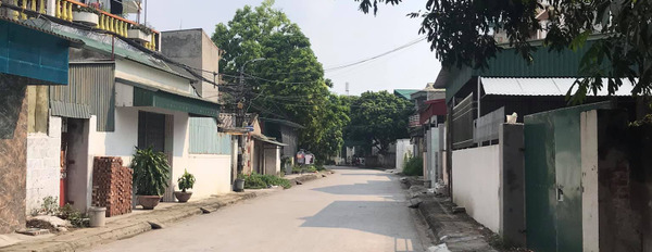 Bán đất mặt đường Đồng Niên, Thành phố Hải Dương, diện tích 70-75m2, mặt tiền 4,5m, giá đầu tư, vị trí đẹp-03