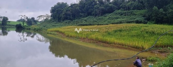 Ở Phú Vinh, Tân Lạc bán đất 1.23 tỷ diện tích mặt tiền 2000m2-02