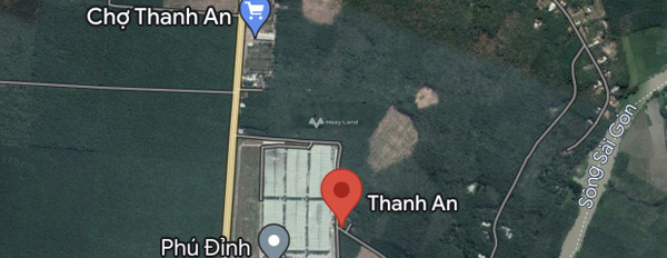 Bán đất tại Thanh An, Bình Dương. Diện tích 200m2-03