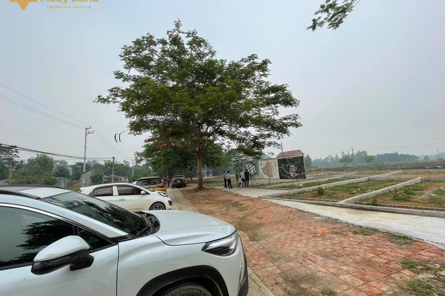 Chủ đầu tư mở bán 32 lô đất tái định cư Linh Sơn Hòa lạc-01