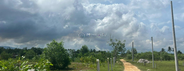 Vị trí hấp dẫn ngay tại La Gi, Bình Thuận bán đất, giá phải chăng chỉ 17 tỷ diện tích rộng rãi 5015m2-03