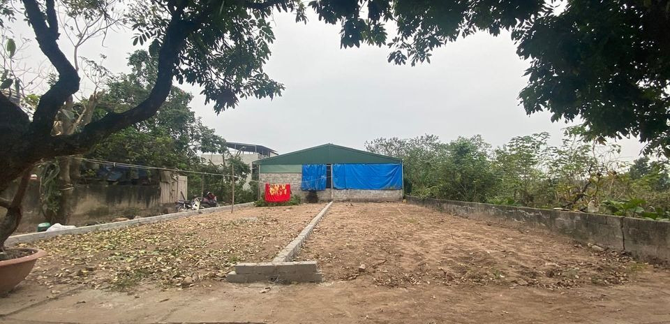 Chính chủ cần bán mảnh đất siêu đẹp tại Từ Vân, Lê Lợi