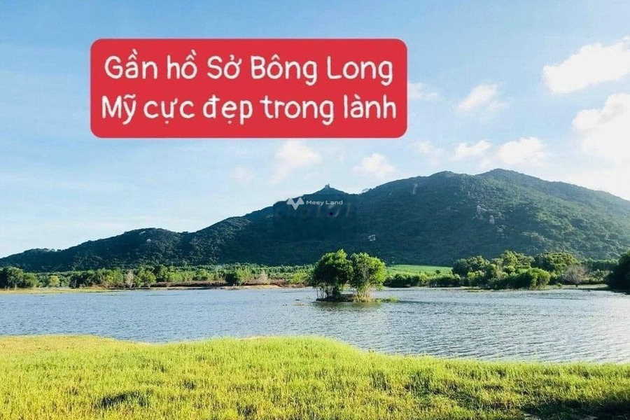 Bán đất 4.85 tỷ Long Mỹ, Đất Đỏ diện tích là 1041m2-01