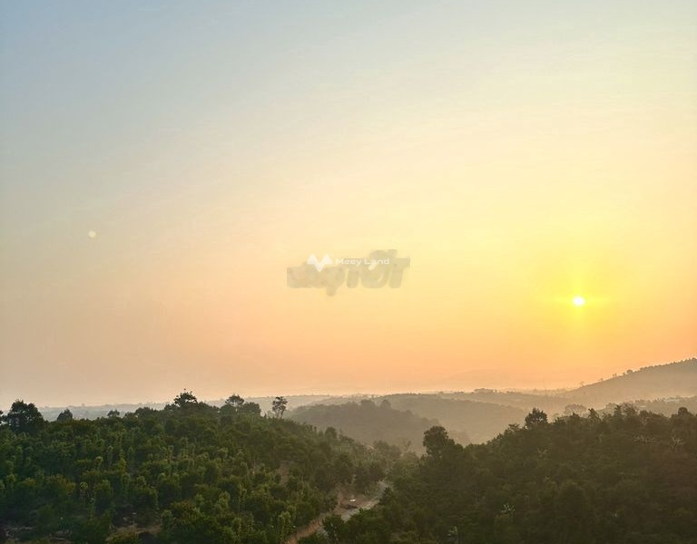 Tân Lạc, Lâm Đồng bán đất giá khởi đầu chỉ 1.5 tỷ với tổng diện tích 200m2-01