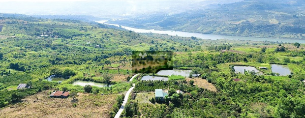 Giá khuyến mãi 550 triệu bán đất có diện tích chuẩn 1000m2 vị trí đặt nằm trên Liên Hà, Lâm Đồng, hướng Đông-02