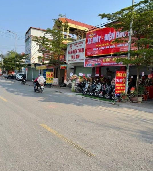 Bán đất diện tích 300m2 vị trí nằm ngay ở Như Quỳnh, Văn Lâm-01