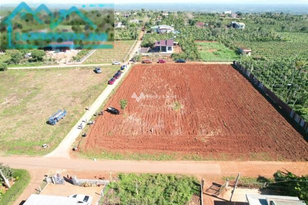 135 triệu bán đất diện tích là 139m2 vị trí đặt vị trí nằm trên Bình Tân, Đắk Lắk-01