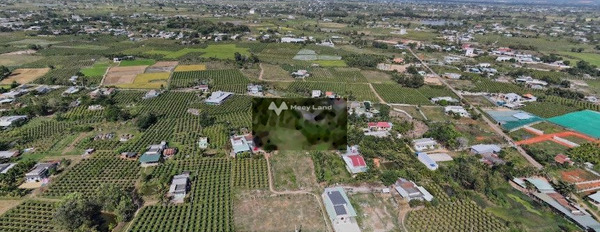 Hàm Thuận Bắc, Bình Thuận 1.4 tỷ bán đất có diện tích chuẩn 180m2-02