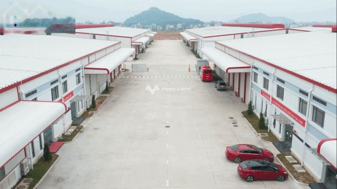 Trong Quốc Lộ 37, Phú Bình cho thuê kho bãi 6000m2 thuê ngay với giá công khai chỉ 510 triệu/tháng với đường 24 mét cảm ơn bạn đã đọc tin-01