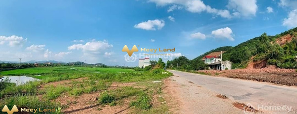 Phượng Sơn, Bắc Giang 1.95 tỷ bán đất diện tích thực như trên hình 150 m2-03