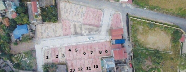 Chính chủ bán mảnh đất, 77.4m2 vị trí đẹp tọa lạc ở Đại Hùng, Hà Nội vị trí siêu đẹp-03