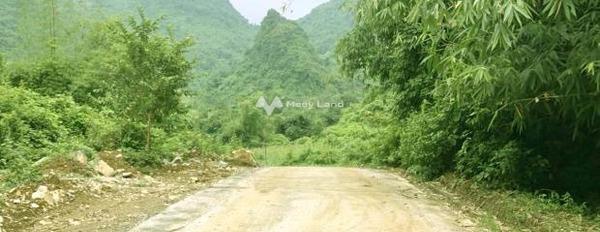 Tại Lương Sơn, Lương Sơn bán đất 2.4 tỷ diện tích là 2183m2-02