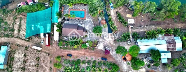 290 triệu bán đất với diện tích 1000m2 mặt tiền nằm tại Hớn Quản, Bình Phước-02