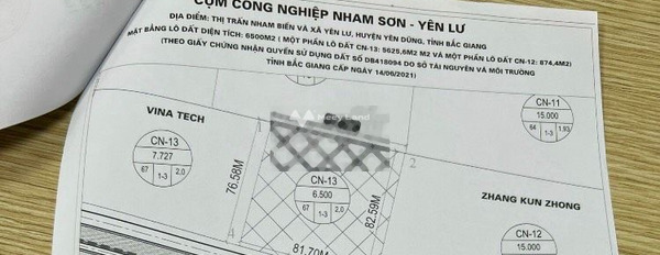 Bây giờ tôi bán đất Yên Dũng, Bắc Giang giá thỏa thuận từ 13.2 tỷ có diện tích chung 6500m2-03