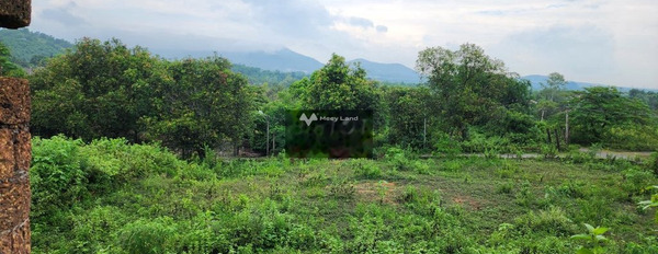 Bán đất vị trí mặt tiền gần Cư Yên, Lương Sơn. Diện tích 1000m2-03