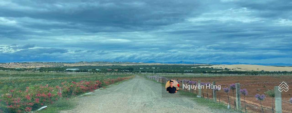 Chính chủ tôi cần bán 10.000m2 Hoà Thắng giá 50 nghìn/m2 -03