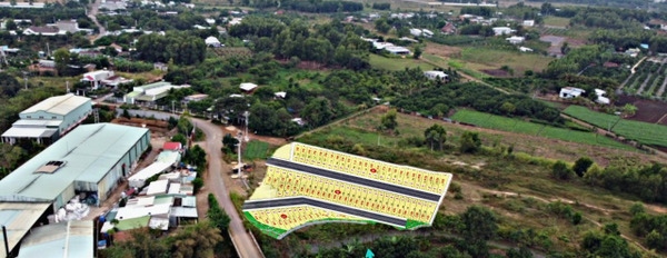 Cơ hội đầu tư sinh lời 100% dự án khu dân cư Bàu Xéo (xã Sông Trầu, huyện Trảng Bom)-02