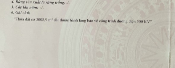 Bán đất sát ủy ban nhân dân xã Đắk Ha, huyện Đắk GLong, tỉnh Đắk Nông-02