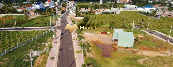1 tỷ bán đất có dt tiêu chuẩn 100 m2 vị trí đẹp ở Đường Xoài Quỳ, Tỉnh Bình Thuận-02