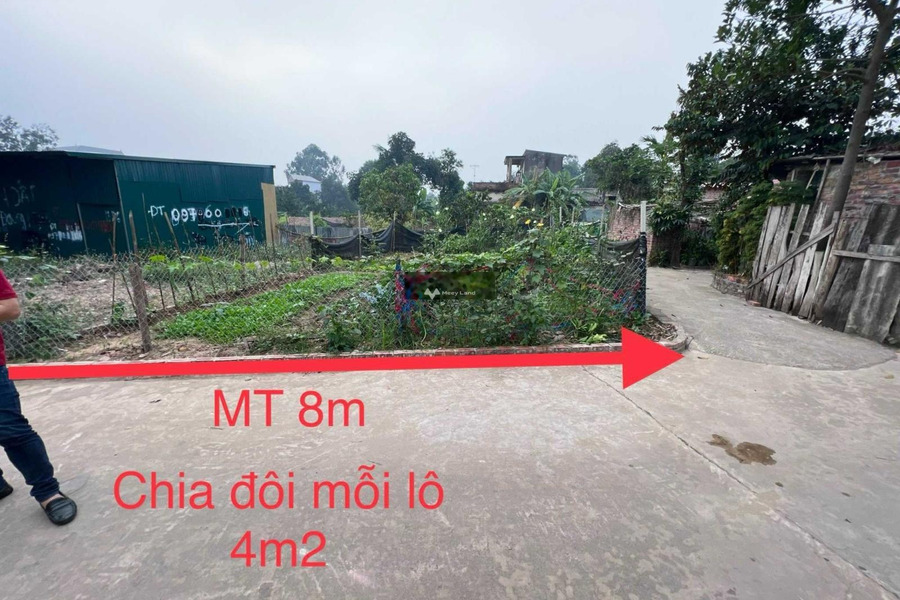 Bán đất diện tích 102m2 tại Sóc Sơn, Hà Nội-01