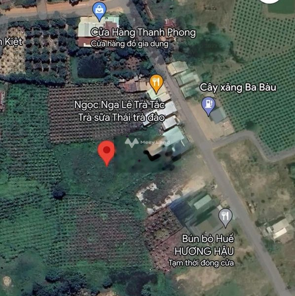 Bán đất 2 tỷ Hàm Kiệm, Bình Thuận diện tích gồm 10000m2-01