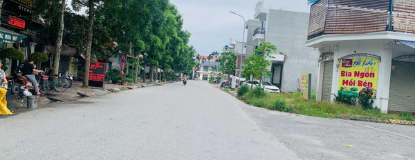 Bán đất diện tích 93,6m2 tại Quỳnh Cư, Hùng Vương-03
