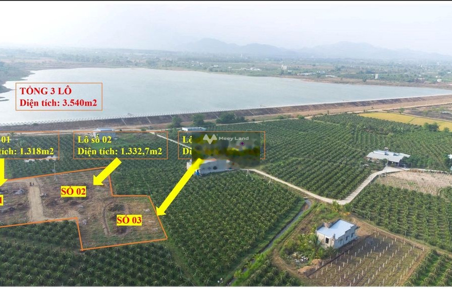 Vị trí mặt tiền nằm ngay Hàm Thuận Bắc, Bình Thuận bán đất giá bán thỏa thuận 2.2 tỷ có diện tích 3540m2-01