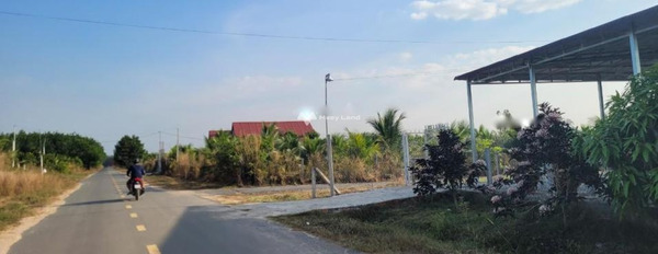 Bán đất 620 triệu Truông Mít, Tây Ninh tổng diện tích là 210m2-03