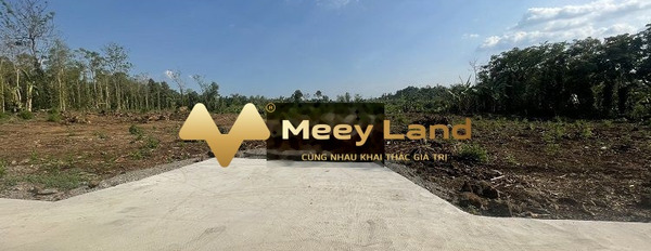 10.5 tỷ bán đất diện tích tổng 7130m2 vị trí trung tâm Long Khánh, Đồng Nai-02