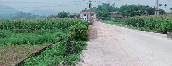 Vị trí mặt tiền tọa lạc ngay trên Thanh Thủy, Phú Thọ bán đất giá bán giao động 970 triệu diện tích thực khoảng 191m2-03