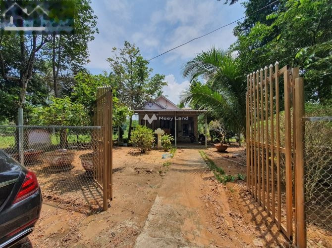 Diện tích 682m2 bán nhà ở vị trí nằm tại Búng Gội, Phú Quốc tổng quan căn nhà này gồm 3 PN lộ mặt tiền rộng 4 m cảm ơn đã xem tin-01