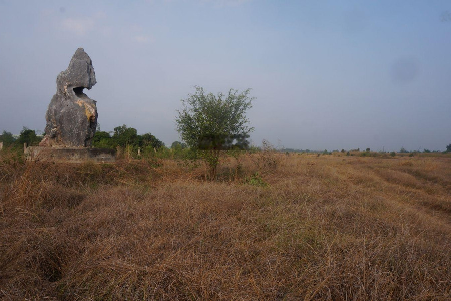 Cho thuê dài hạn đất mặt tiền Vành Đai 4 (26mx142m), gần các khu công nghiệp, giá chỉ 15.000đ/m2 -01