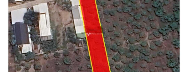 Bây giờ tôi cần bán mảnh đất, 600m2 giá siêu mềm từ 2 tỷ vị trí thuận lợi tọa lạc ở Nguyễn Công Trứ, Cam Thành Nam, hướng Tây - Bắc khu vực dân cư-02