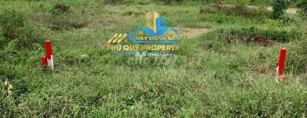 Đầu tư bất động sản bán mảnh đất, 1831m2 giá bán hợp lý 1.2 tỷ vị trí đẹp tại Đông Thành, Long An thích hợp kinh doanh-03