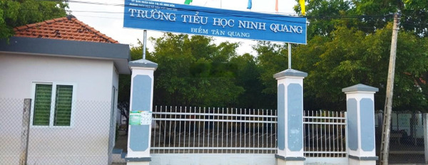 Giá tốt - Chính chủ cần bán nhanh đất đẹp trên trục đường chính liên xã vị trí tại tỉnh Khánh Hòa -02