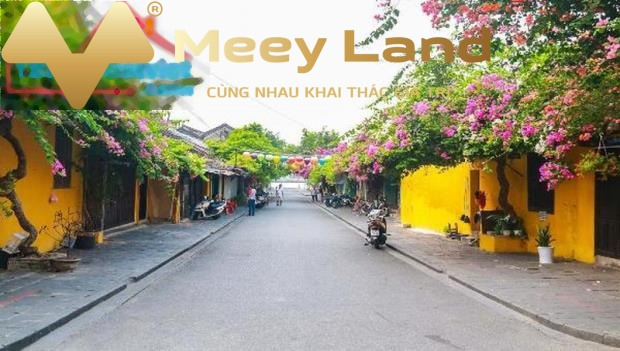 Mở rộng đầu tư bán nhà vị trí thuận lợi tọa lạc ở Đường Nguyễn Duy Hiệu, Tỉnh Quảng Nam giá thực tế chỉ 123,46 tỷ diện tích rộng 459m2 với ngõ có độ 1...-01