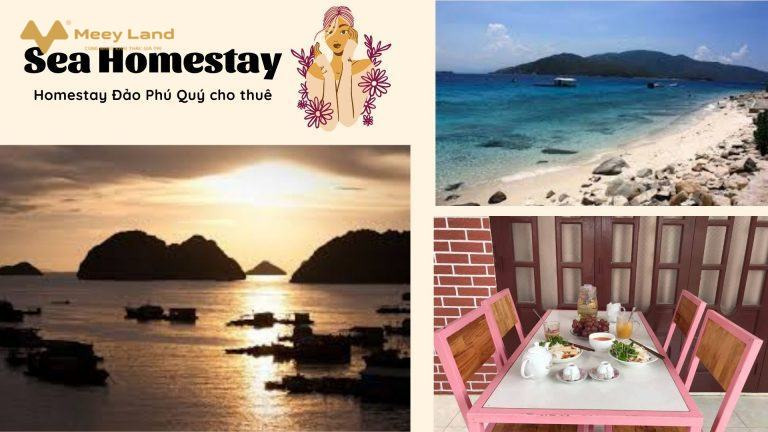 Sea Homestay – Homestay Đảo Phú Quý đẹp