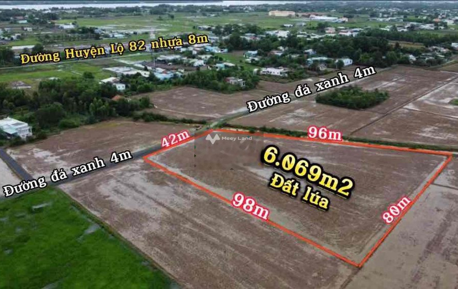 Giá không môi giới 2.5 tỷ, Bán đất diện tích chung 6068m2 vị trí đẹp ngay Cần Đước, Long An vui lòng liên hệ để xem trực tiếp-01