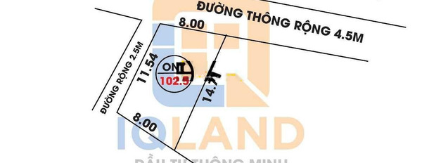 Bán đất diện tích 102m2 tại Sóc Sơn, Hà Nội-03