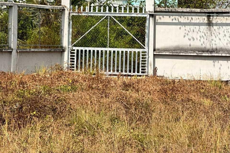 Bán đất ở Trường Bình, Cần Giuộc, giá bán 9,4 tỷ-01