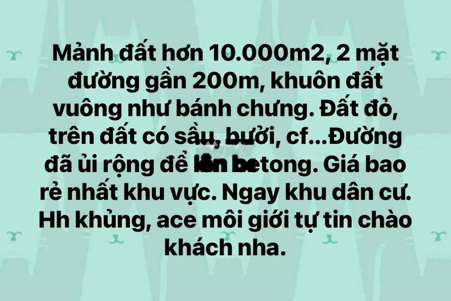 Nằm tại Dân Sinh, Đắk Lắk bán đất 1.2 tỷ với diện tích rộng 10037m2-01